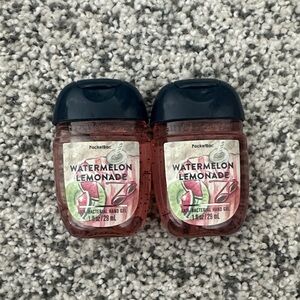 Watermelon Lemonade Pocketbacs (2)